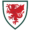 Wales_national_football_team_logo Collection | Australia Football Jerseys And World Cup Kits