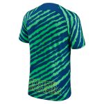 brazil national team nike 202223 pre-match top – bluegreen Collection | Australia Football Jerseys And World Cup Kits