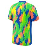 brazil womens national team nike 2025 academy pro pre-match performance top – blue Collection | Australia Football Jerseys And World Cup Kits