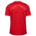 denmark national team 2024 home replica jersey – red Collection | Australia Football Jerseys And World Cup Kits
