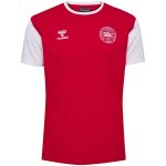 denmark national team block t-shirt – red Collection | Australia Football Jerseys And World Cup Kits