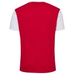 denmark national team block t-shirt – red Collection | Australia Football Jerseys And World Cup Kits
