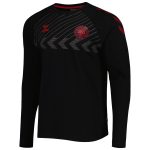 denmark national team fan raglan long sleeve t-shirt – black Collection | Australia Football Jerseys And World Cup Kits