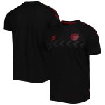 denmark national team fan raglan t-shirt – black Collection | Australia Football Jerseys And World Cup Kits