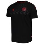 denmark national team fan raglan t-shirt – black Collection | Australia Football Jerseys And World Cup Kits