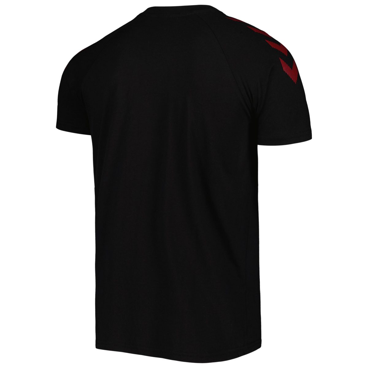 denmark national team fan raglan t-shirt – black Collection | Australia Football Jerseys And World Cup Kits