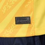 france national team nike 2024 goalkeeper replica stadium long sleeve jersey – yellow Collection | Australia Football Jerseys And World Cup Kits
