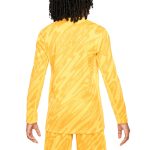 france national team nike youth 2024 goalkeeper replica stadium long sleeve jersey – yellow Collection | Australia Football Jerseys And World Cup Kits
