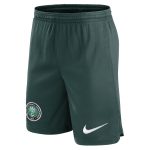 nigeria national team nike home performance stadium shorts – green Collection | Australia Football Jerseys And World Cup Kits