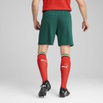 portugal national team puma 2025 home replica shorts – green Collection | Australia Football Jerseys And World Cup Kits