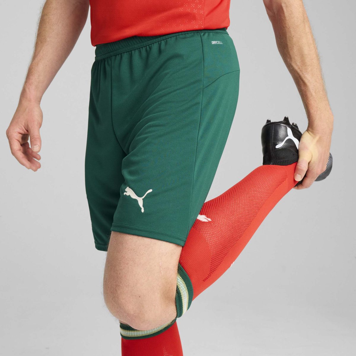 portugal national team puma 2025 home replica shorts – green Collection | Australia Football Jerseys And World Cup Kits