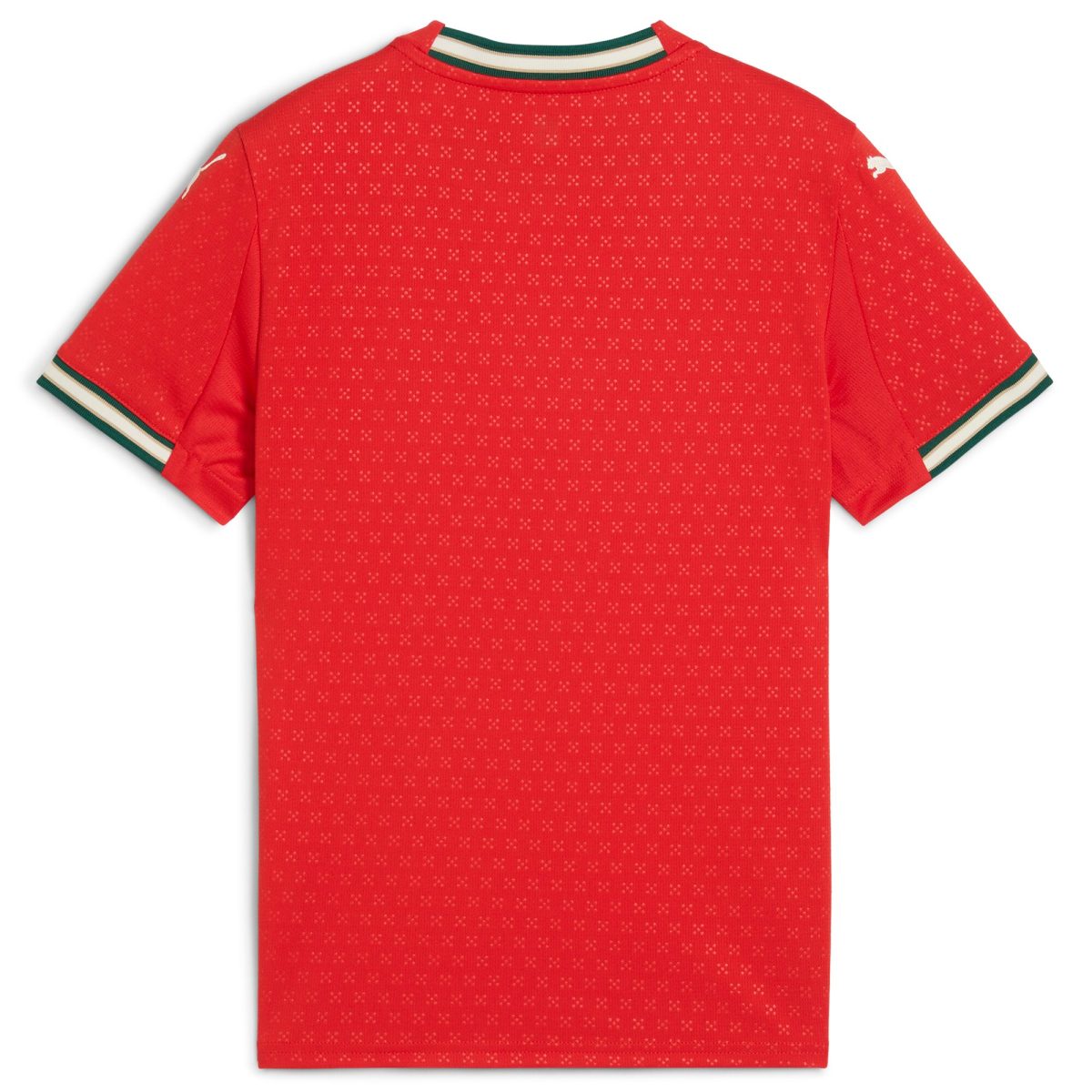 portugal national team puma youth 2025 home replica jersey – red Collection | Australia Football Jerseys And World Cup Kits