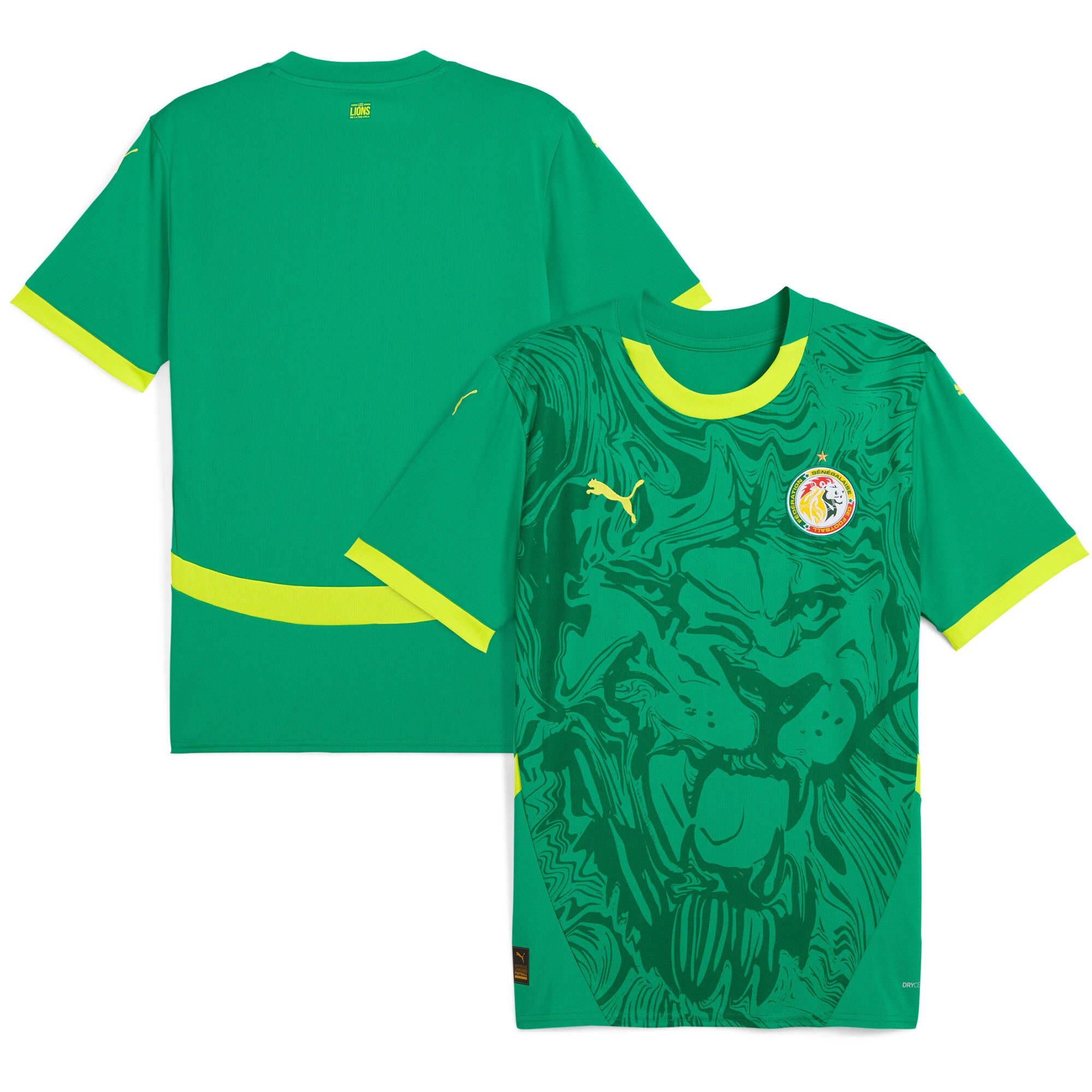 senegal national team puma 2025 away replica jersey – green Collection | Australia Football Jerseys And World Cup Kits