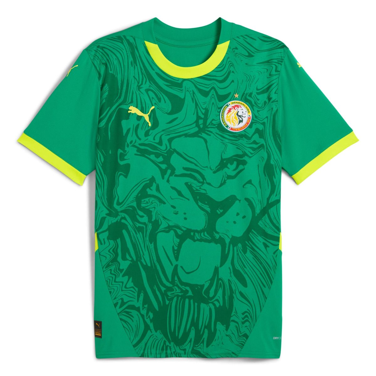 senegal national team puma 2025 away replica jersey – green Collection | Australia Football Jerseys And World Cup Kits
