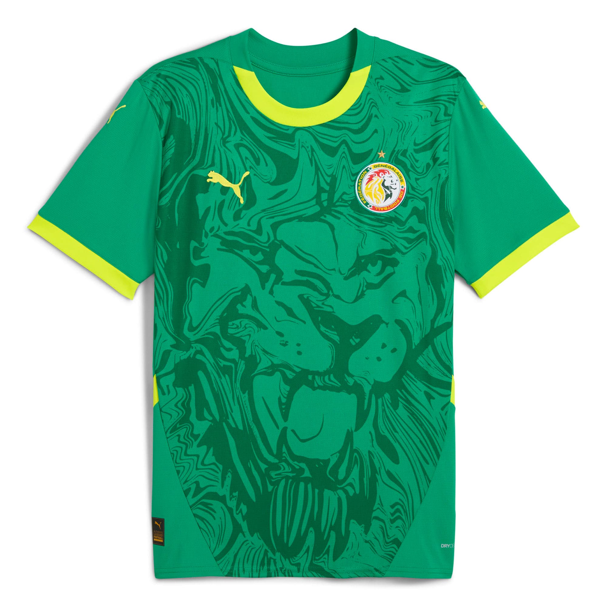 senegal national team puma 2025 away replica jersey – green Collection | Australia Football Jerseys And World Cup Kits