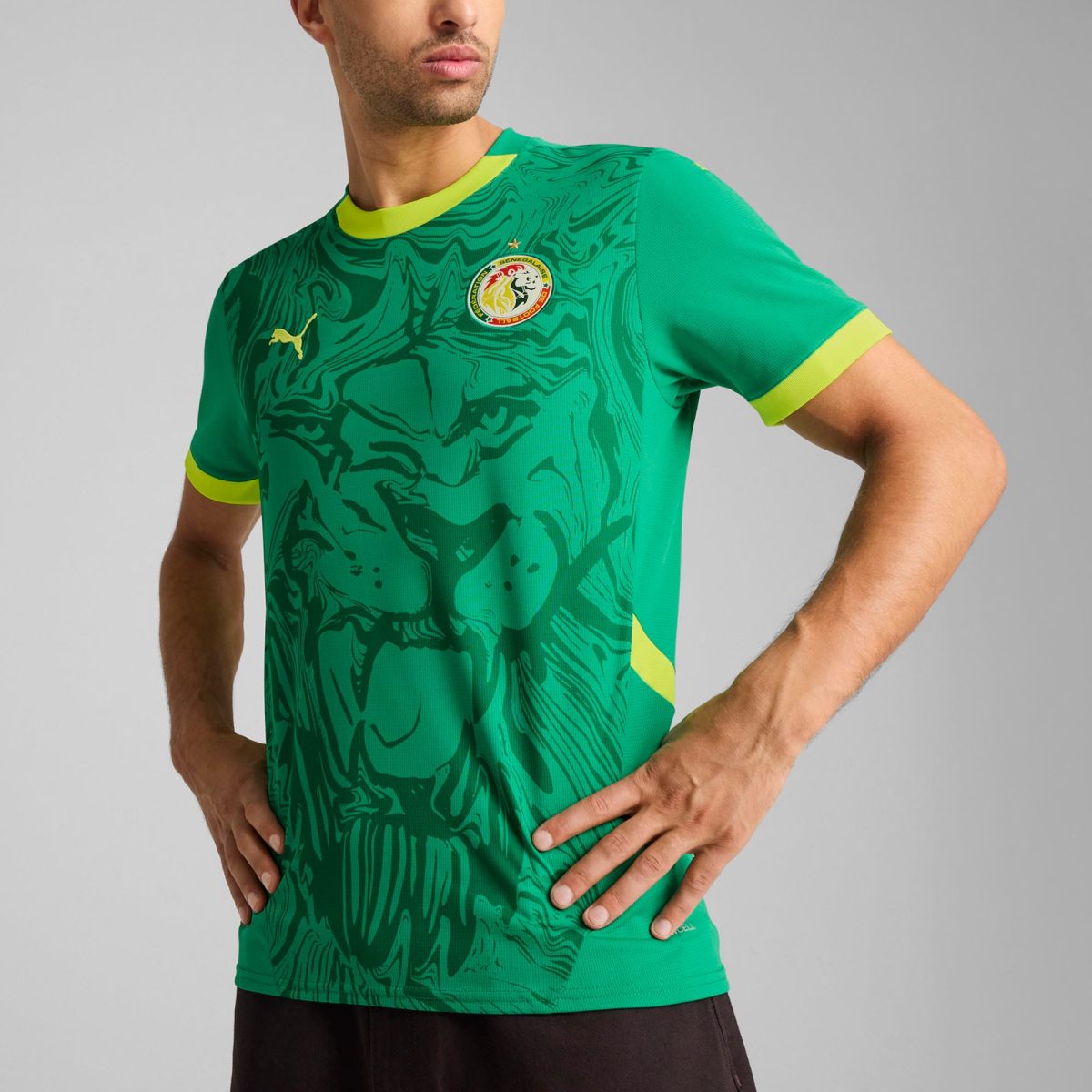 senegal national team puma 2025 away replica jersey – green Collection | Australia Football Jerseys And World Cup Kits