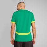 senegal national team puma 2025 away replica jersey – green Collection | Australia Football Jerseys And World Cup Kits