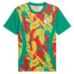 senegal national team puma 2025 pre-match jersey – green Collection | Australia Football Jerseys And World Cup Kits