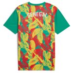 senegal national team puma 2025 pre-match jersey – green Collection | Australia Football Jerseys And World Cup Kits