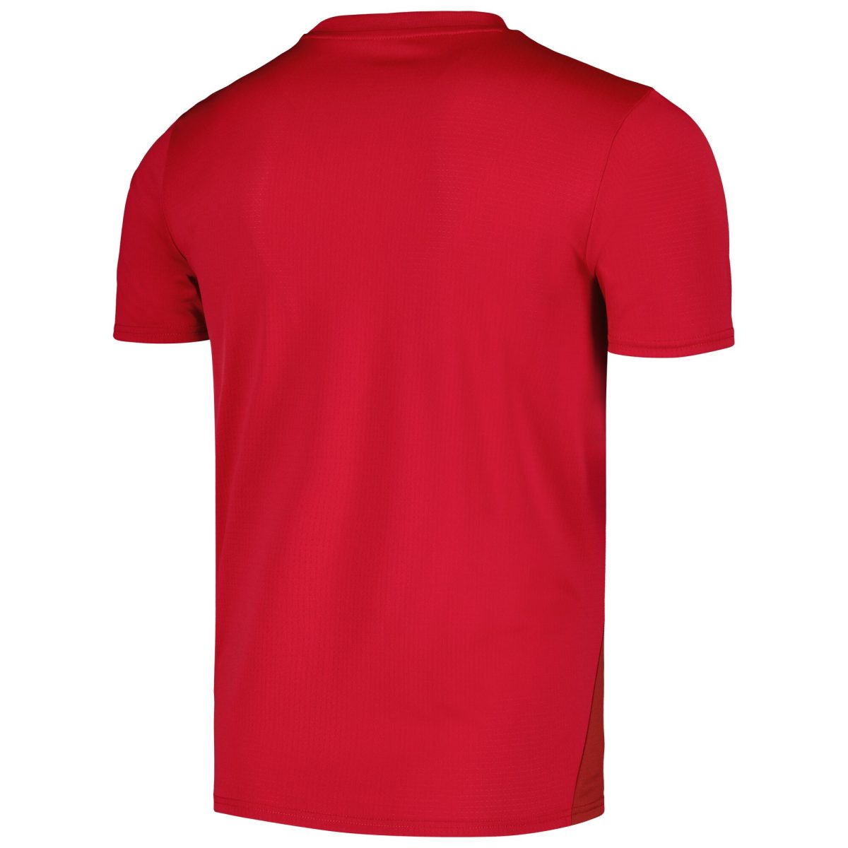 serbia national team puma 2024 pre-match jersey – red Collection | Australia Football Jerseys And World Cup Kits